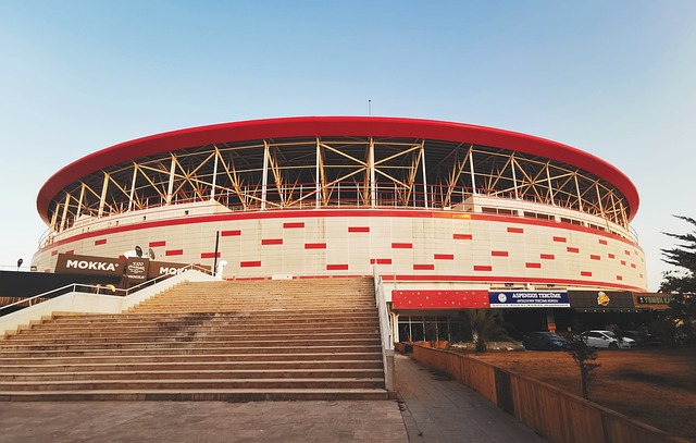 他们的判断 他们的判断