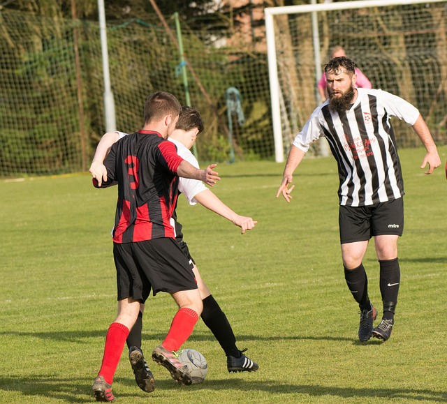 他们通过震 他们通过震