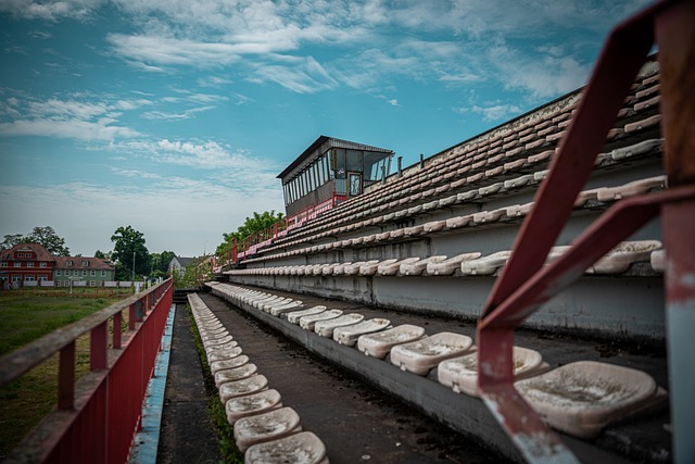 的中国球员 的中国球员