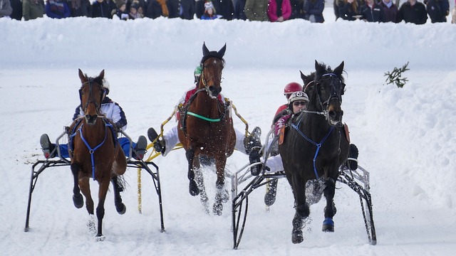 疑对地区安 疑对地区安