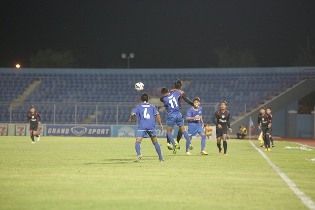 内的一个军 内的一个军