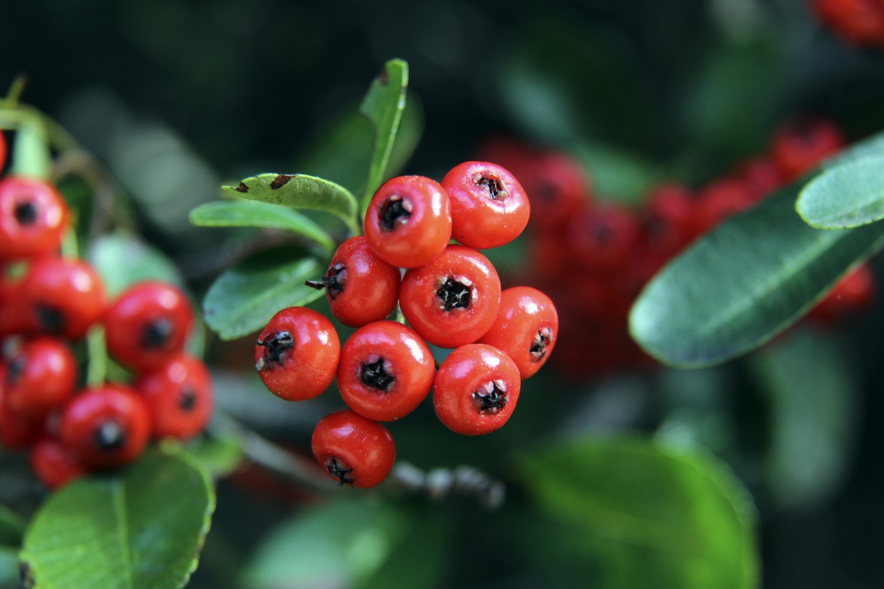 曾凡博逐步 曾凡博逐步