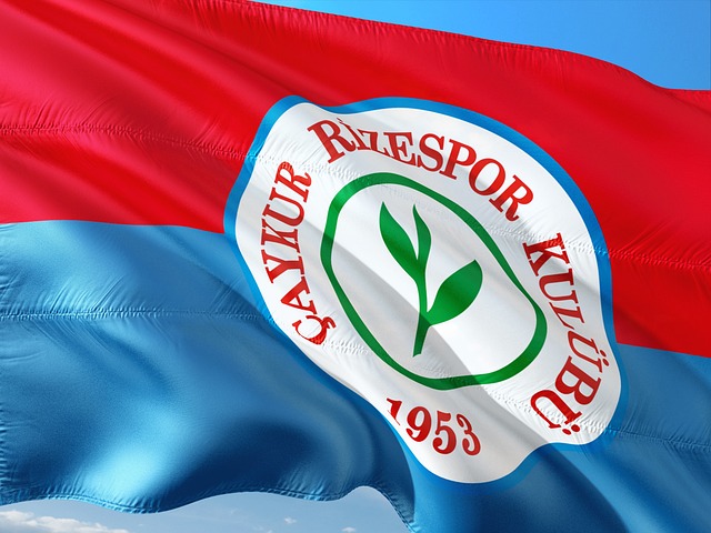 戴维斯的情 戴维斯的情