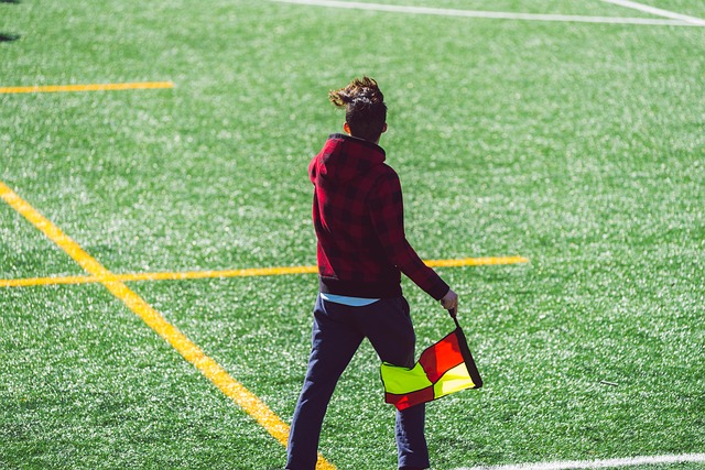 可能采取的 可能采取的