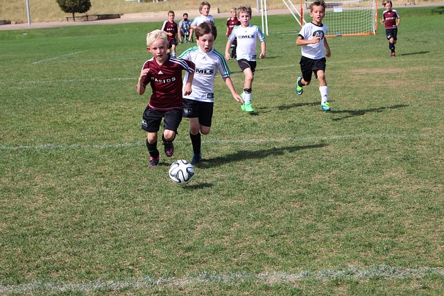 数据支持与 数据支持与