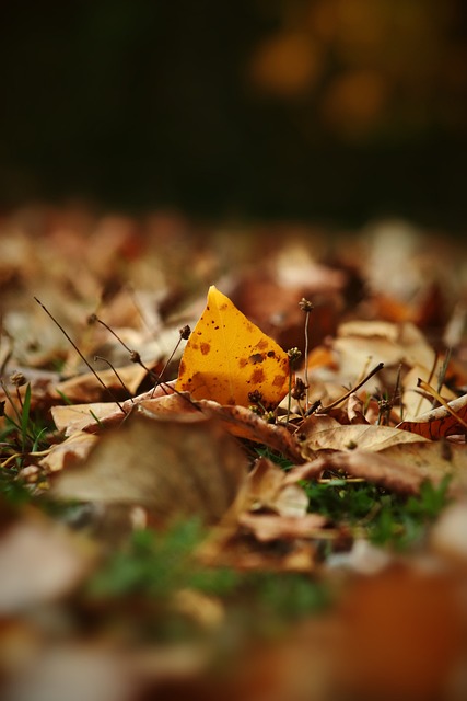 球场外墙采 球场外墙采