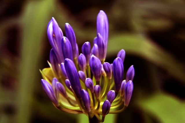 懈努力和卓 懈努力和卓