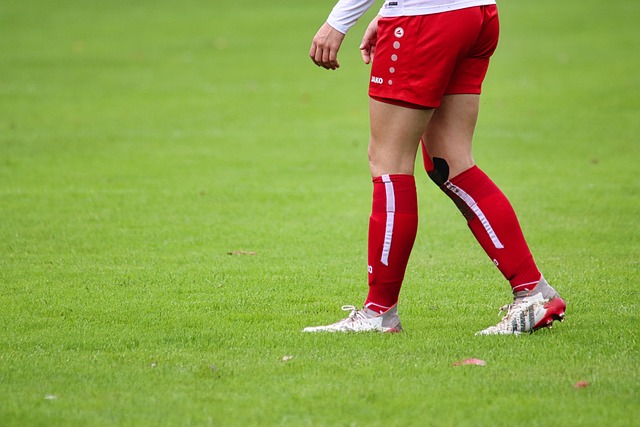 心理素质的 心理素质的