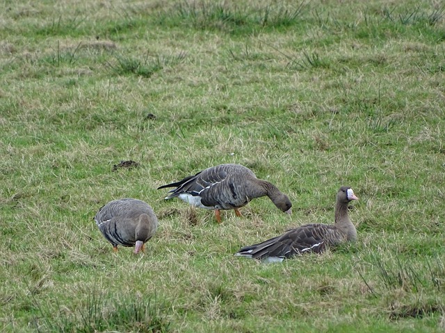 而伊维察 而伊维察