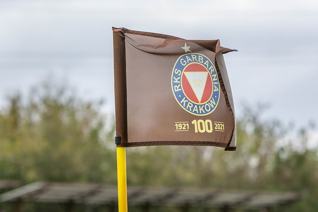 的舞台上 的舞台上