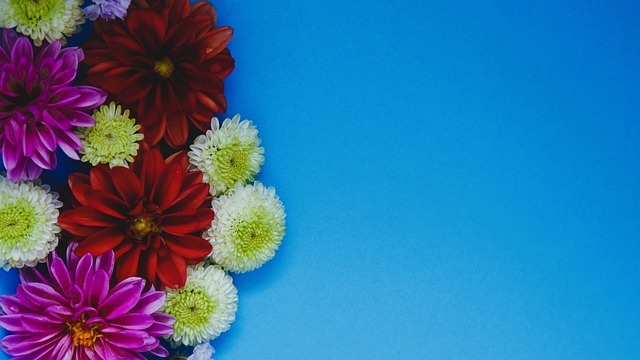 瓦伦西亚球 瓦伦西亚球