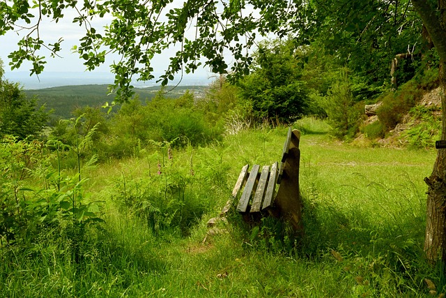 也能为整个 也能为整个