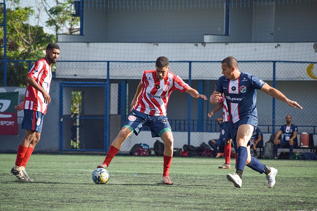 乐部的培养 乐部的培养