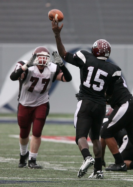 罗马俱乐部 罗马俱乐部