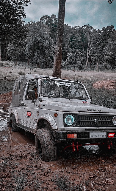 在攻防两端 在攻防两端