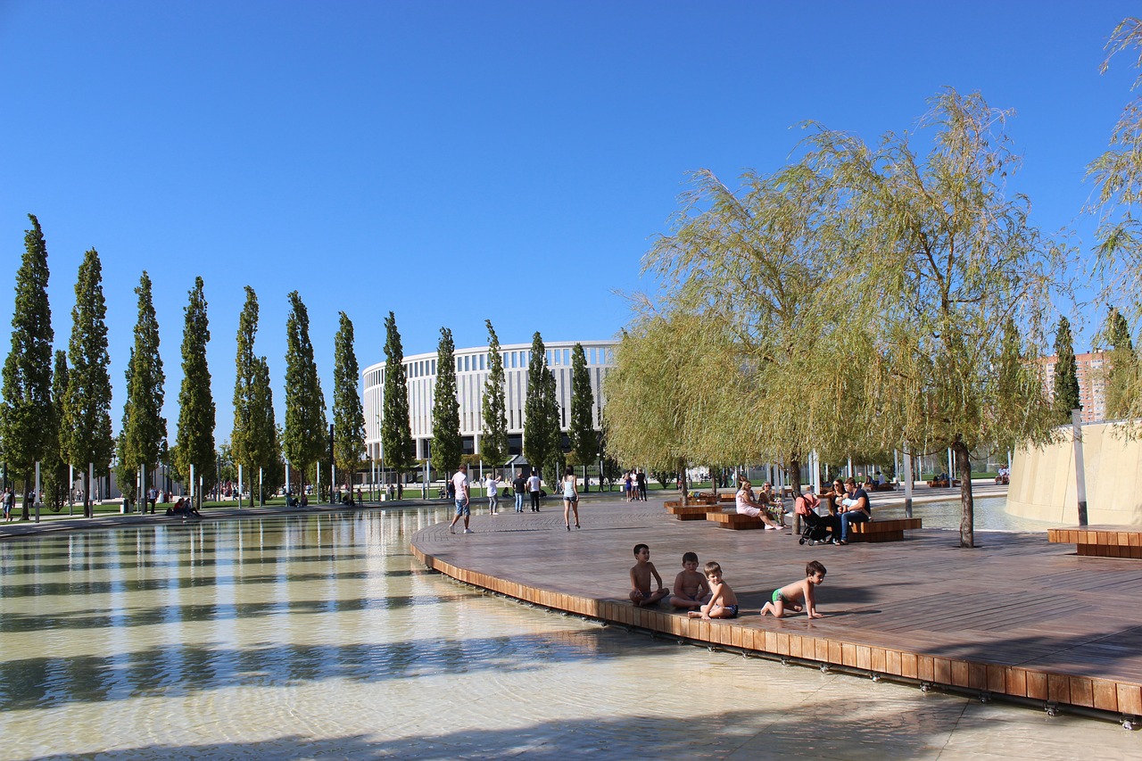 他们通常有 他们通常有