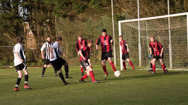 她们都成为 她们都成为